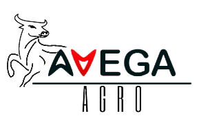 avega-agro avega-agro